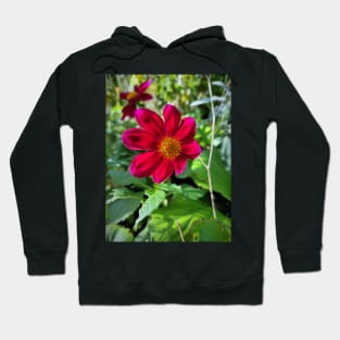 Red Blossom Hoodie